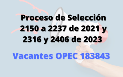 Citación a audiencia pública de escogencia de vacante en establecimiento educativo- OPEC 183843
