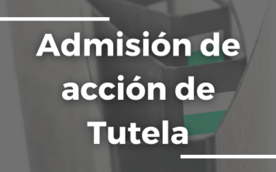 Acción de tutela interpuesta por Angie Viviana Dávila Romo