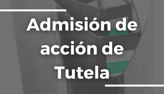 Acción de tutela instaurada por el ciudadano HAROLD ALBEIRO FIGUEROA REVELO.