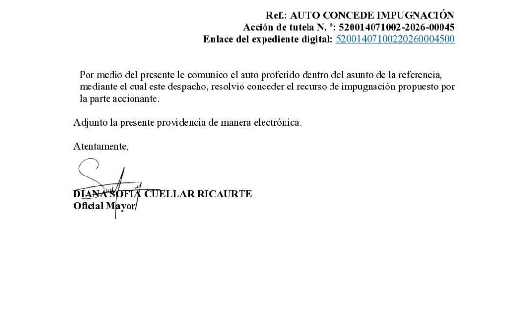 OFICIO AUTO CONCEDE IMPUGNACIÓN