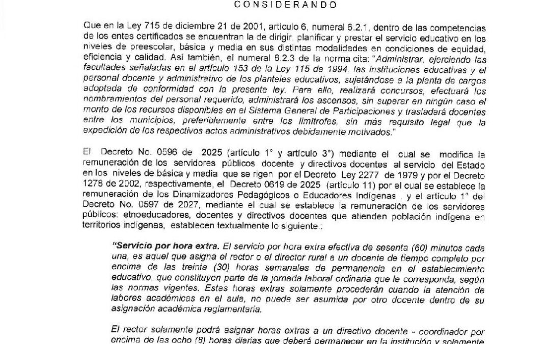 Resolucion No. 313