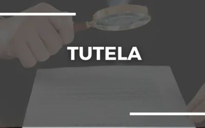Notificación acción de tutela – Proceso de encargo No. PE-01-2026