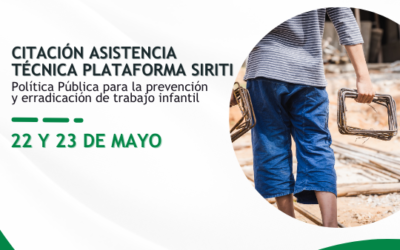 Citación Asistencia Técnica Plataforma SIRITI