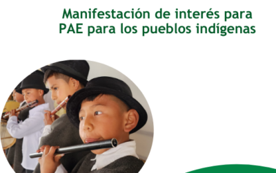 Modificación cronograma No. 2, manifestación de interés para ejecutar PAE