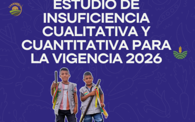 Estudio de Insuficiencia Cualitativa y Cuantitativa para la vigencia 2026