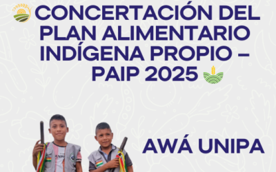 PAIP 2025 – Awá UNIPA