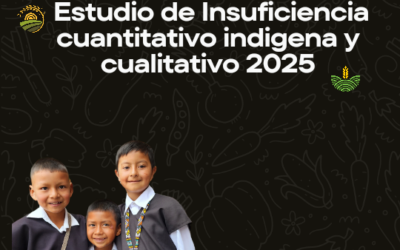 Estudio de Insuficiencia cuantitativo indigena y cualitativo 2025