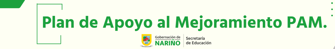 Plan de Apoyo al Mejoramiento PAM