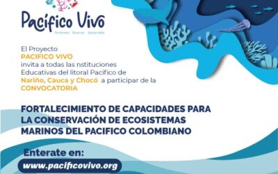 Convocatoria litoral Pacífico – Proyecto Pacífico Vivo